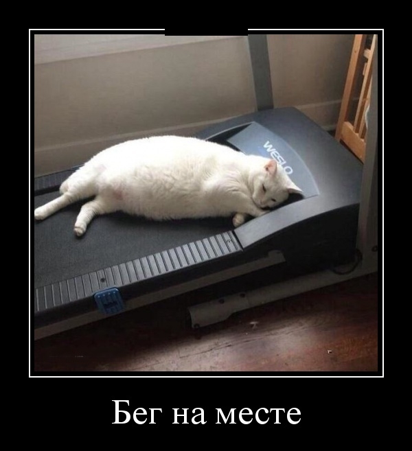 Демотиваторы выходного дня 17 марта 2019 Демотиваторы выходного дня 17 марта 2019