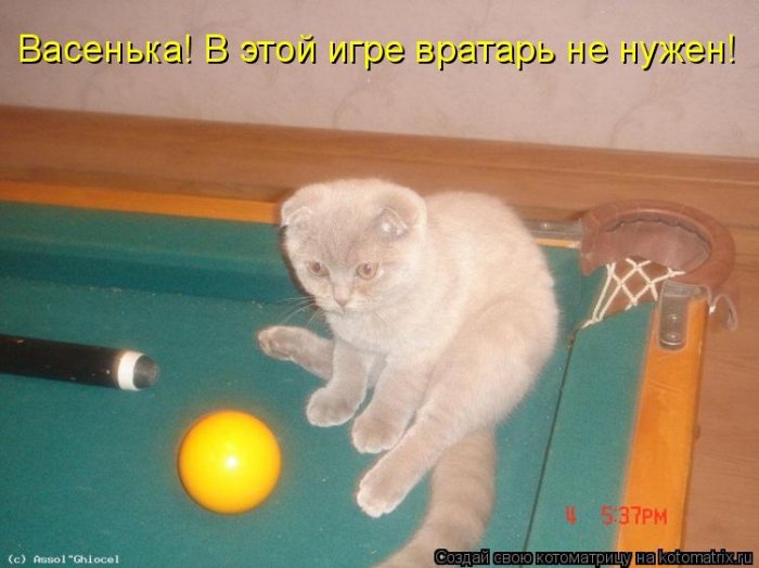 Мысли вслух :)