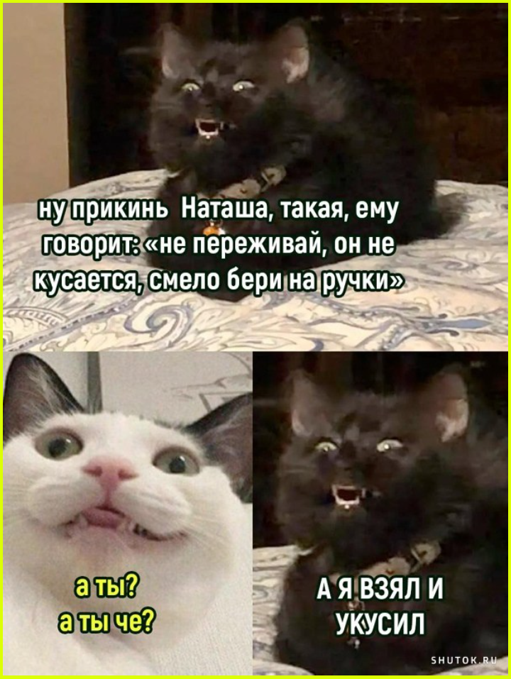 Не так страшно искать во сне туалет, как его найти  