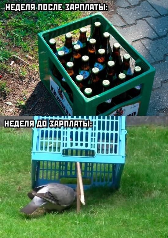 Угарные картинки с юмором Угарные картинки с юмором