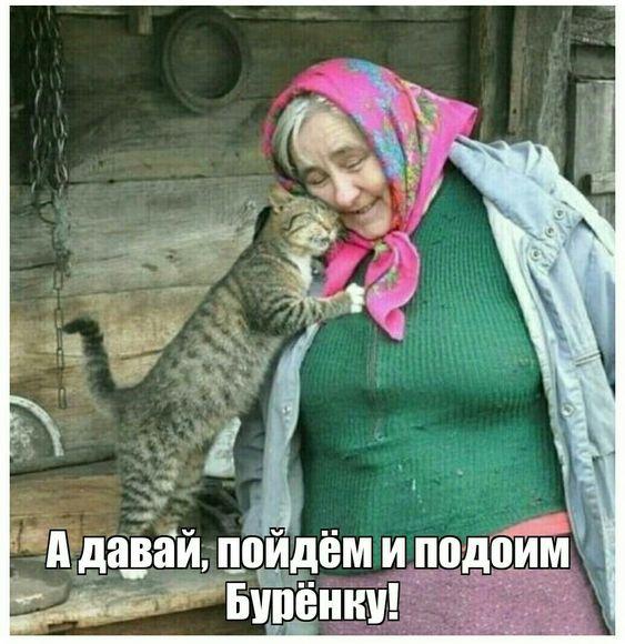 Угарные картинки с юмором Угарные картинки с юмором