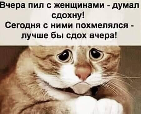 — А теперь я познакомлю тебя со своей семьей... специалист, Петровна , запуск, Почему, говорит, потом, обезьяны, молчи, ракеты, теперь, целыми, днями, опытный, солнечных, загорающий, нудистском, пляже, избежание, нетМужчина, орган