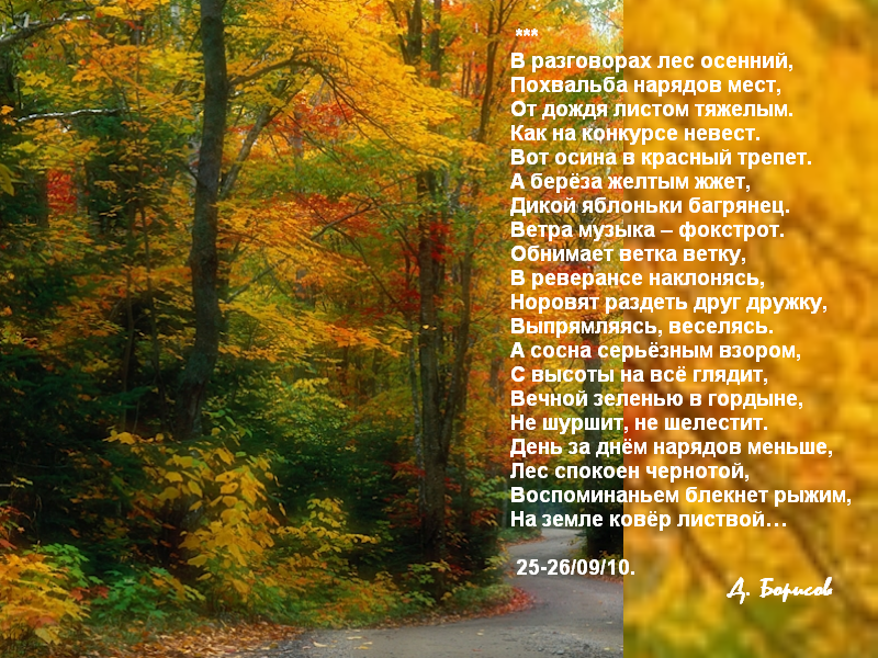 Поэзия о лесе. Стихотворение в осеннем лесу. В осеннем лесу стих. Красивые стихи про осенний лес. Краски осени стихи.