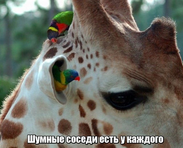 Фотоподборка субботы за всю неделю 