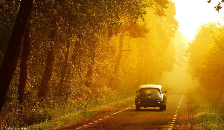 Завораживающая осенняя история