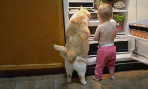 Такие прикольные картинки 2009/2019 Такие прикольные картинки 2009/2019 истории из жизни