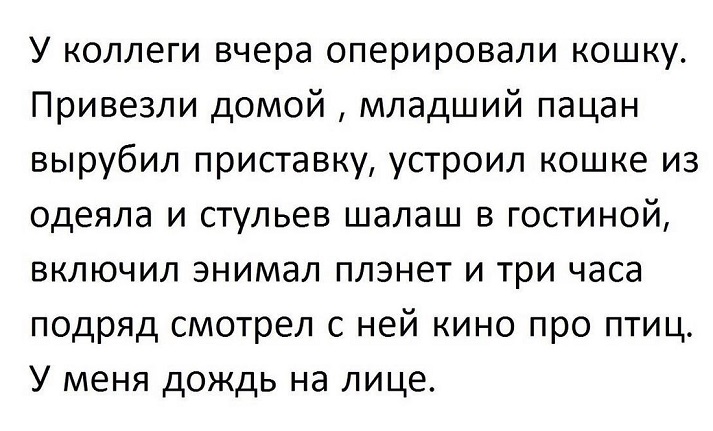 Девушка, успокойтесь, это всего лишь лайк, не надо меня знакомить со своей мамой 