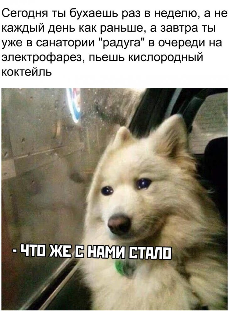 Подборка актуальных мемов и смешных картинок 