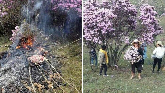 Скандальные выходки туристов мир,туризм