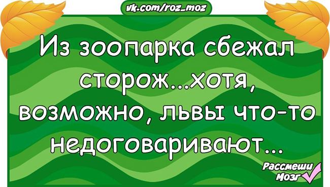 Анекдоты от «Рассмеши мозг» читай тихо — пусть все думают, что ты работаешь) Анекдоты от «Рассмеши мозг» читай тихо — пусть все думают, что ты работаешь)