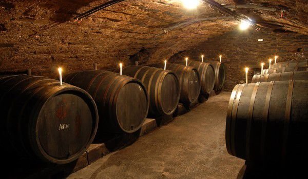 Tryphon Зарезань-праздник виноделов