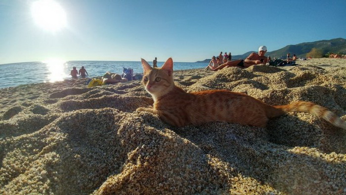 Фотоподборка субботы за всю неделю 