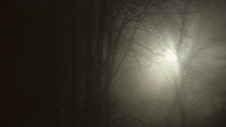 "Это просто страшный сон": Кожевникову ужаснула поддержка соведущим Малышевой идей каннибализма