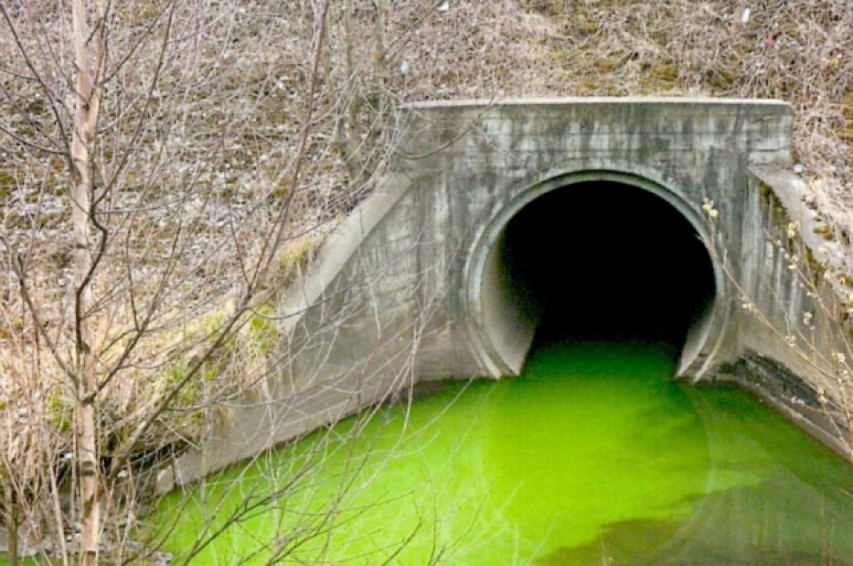 Зеленые воды последствия. Река Толыч Березники. Производственные сточные воды. Токсичная река. Сточные воды цвет.