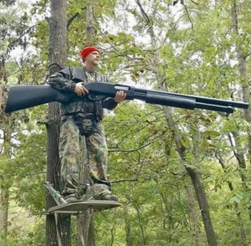 Такие прикольные картинки 2009/2019 Такие прикольные картинки 2009/2019 истории из жизни