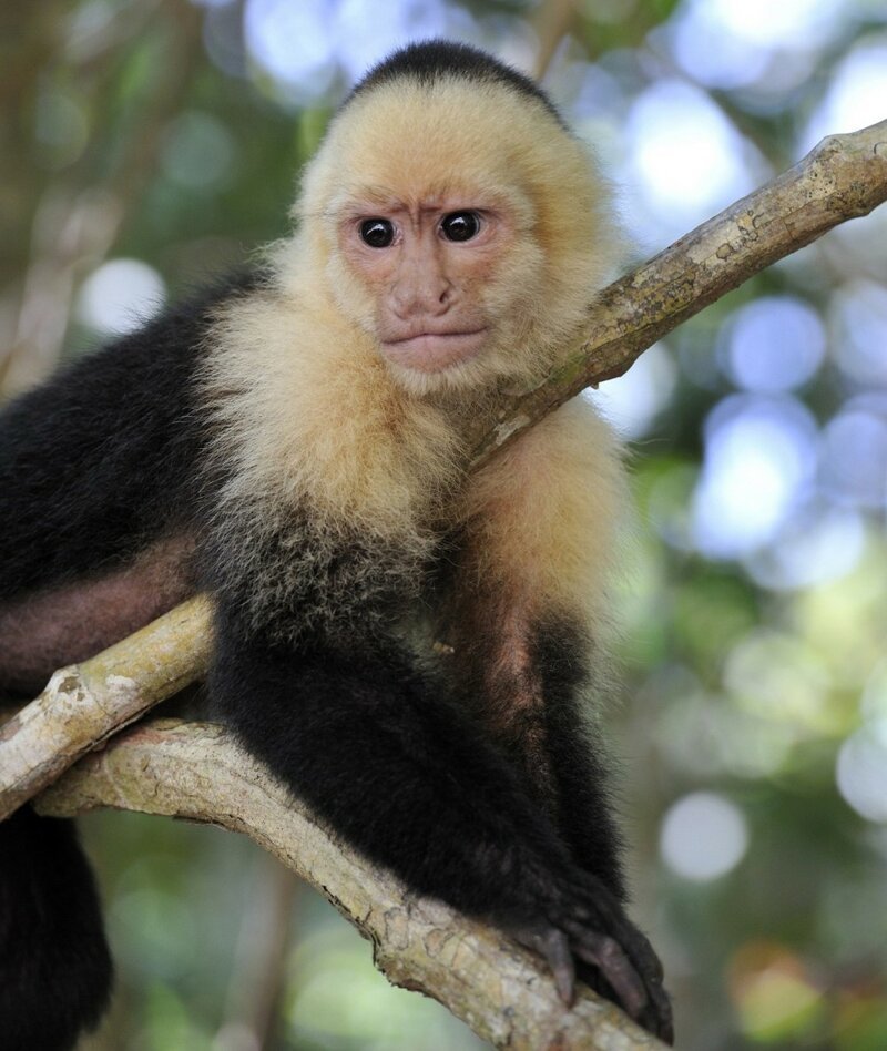 Эмоциональные фотографии для отличного настроения Эмоциональные фотографии для отличного настроения фотография