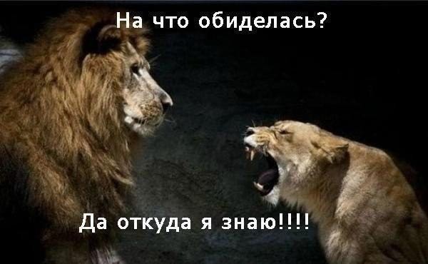 Всякая всячина демотиваторы, прикол, юмор