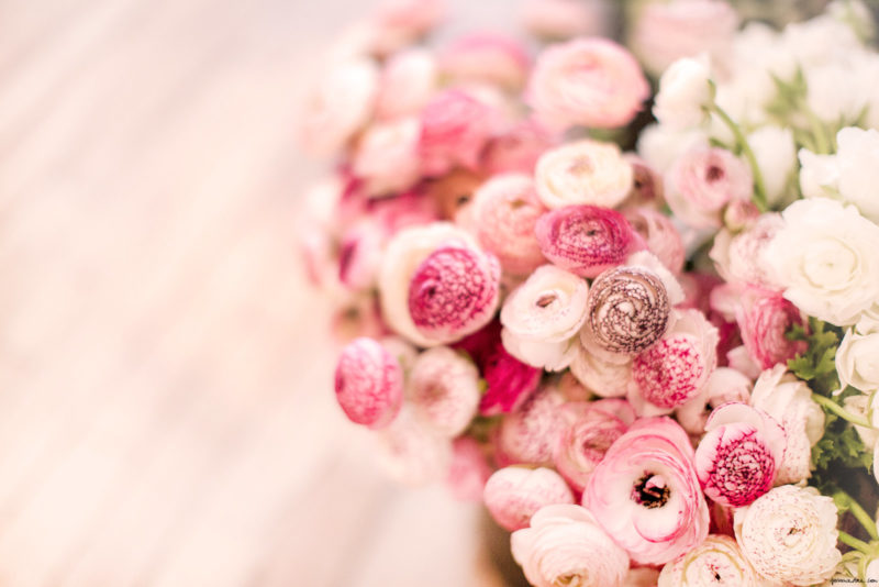 Продлеваем жизнь срезанным цветам: советы флористов цветы