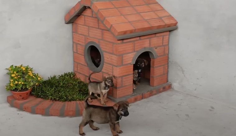 Дом для четвероногого друга: собачья будка из кирпича