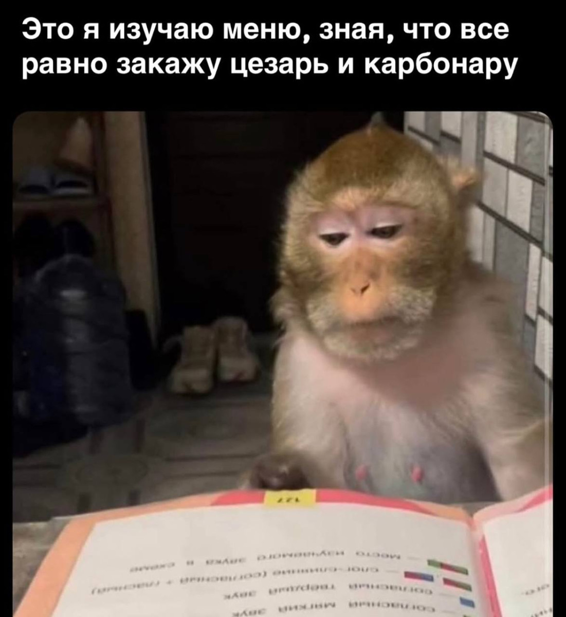 Смешные картинки с надписями и парни с ногами Смешные картинки с надписями и парни с ногами