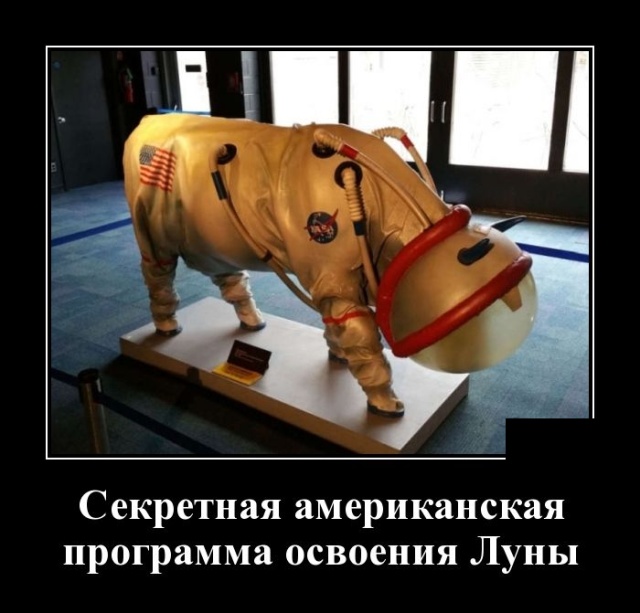 Самые новые демотиваторы Самые новые демотиваторы демотиваторы