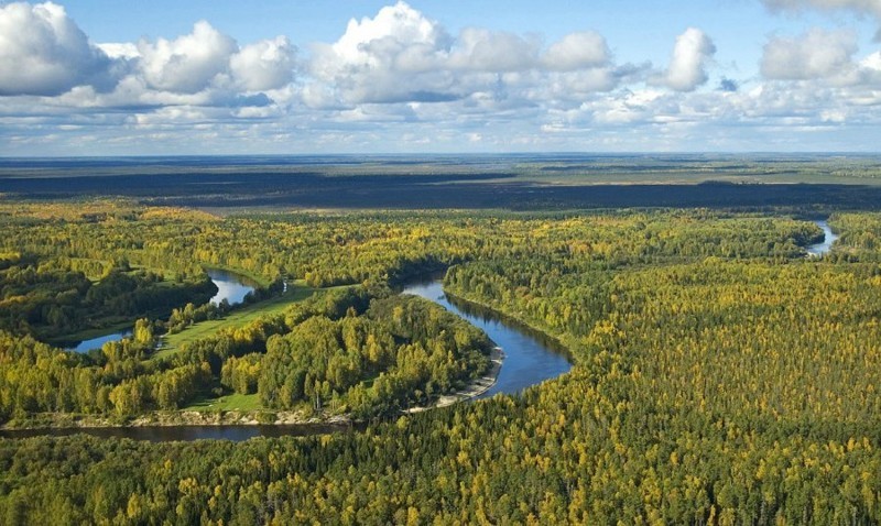 Пусть и вас впечатлит дикая красота грандиознейшего болота в Сибири Болота, красота, легенды, природа, простор, россия, сибирь