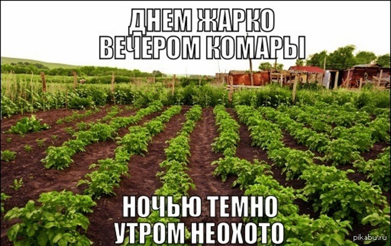 Минутка дачного юмора 