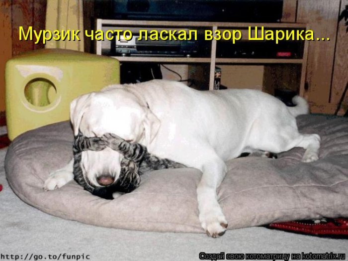 Мысли вслух :)