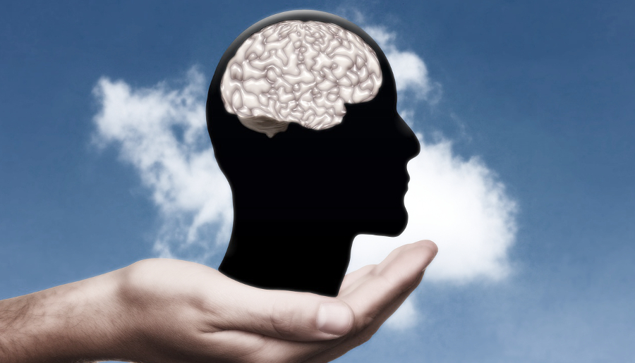 Гигиена для мозга: 5 способов поддерживать интеллект в форме интеллект,образ жизни,психология,саморазвитие
