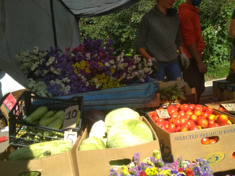 Записки Колорадского Таракана. А мы опять… заболели! Записки Колорадского Таракана. А мы опять… заболели! украина