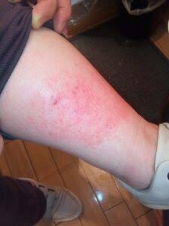 Трудности и чудеса настоящей японской жизни Трудности и чудеса настоящей японской жизни