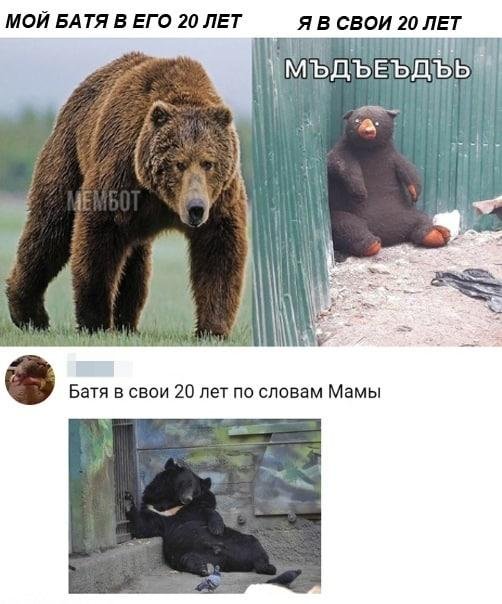 Жесткий и черный юмор  позитив,смешные картинки,юмор