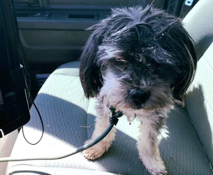 Как погибавшего в пустыне пенсионера спас велосипедист «из ниоткуда» герои,люди,отдых и туризм,происшествия