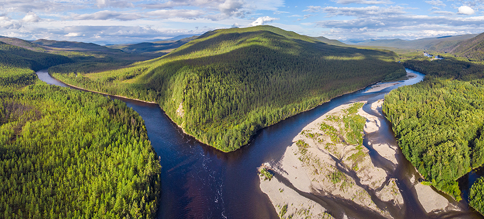 буреинский заповедник 