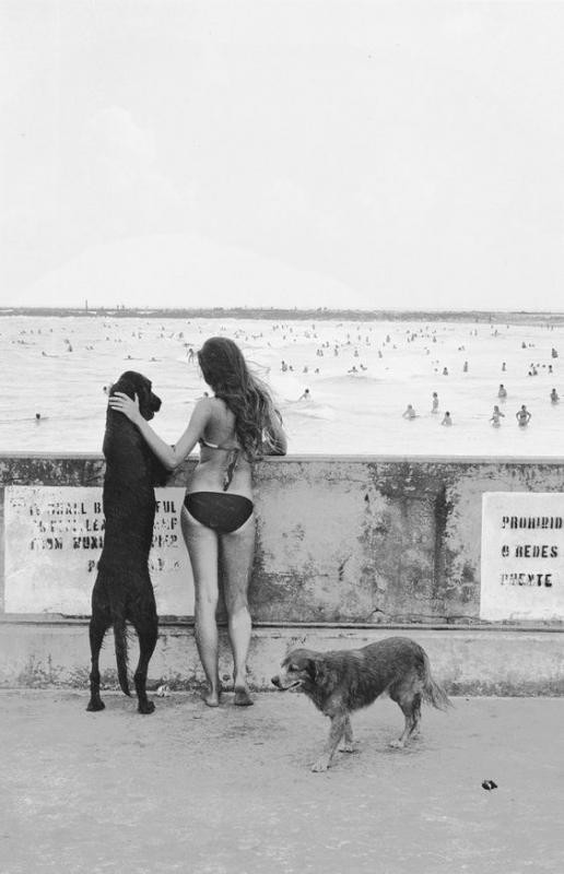 Лови момент или мастерство фотографа Лови момент или мастерство фотографа фотография