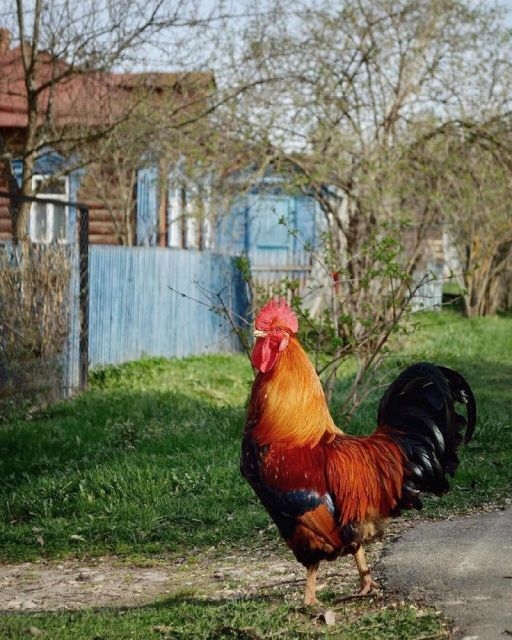 Фотографии русской деревни, которые вызывают ностальгию