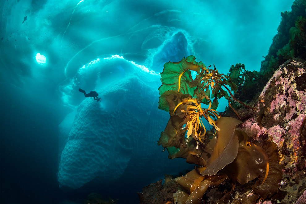 Stunning photos show ice dive beneath giant iceberg