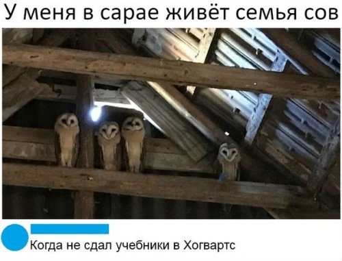 Подборка комментариев из соцсетей Подборка комментариев из соцсетей