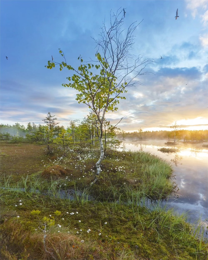 петр косых фотографии