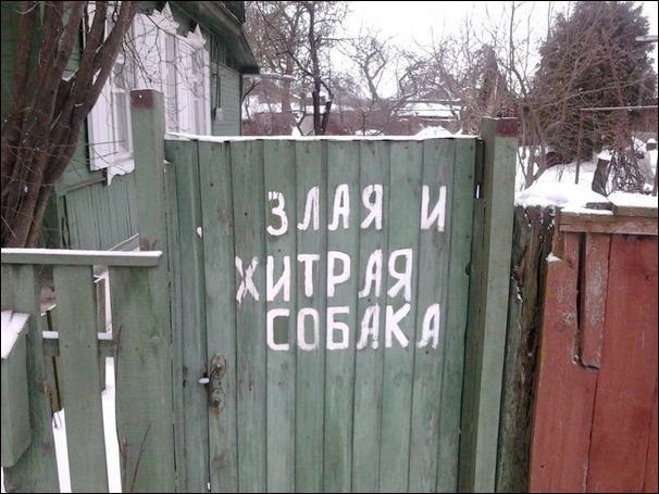 Забавные надписи и объявления 