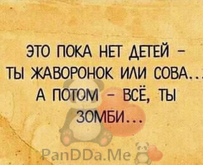 Готовы улыбнуться? Тогда срочно читайте эту веселую подборку с приятными историями 