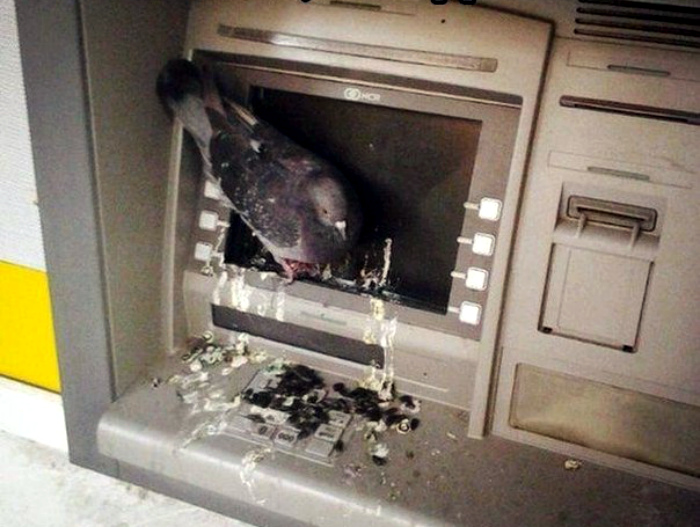 Приколы нашего городка Приколы нашего городка