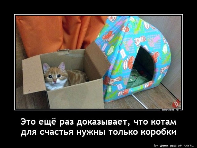 Демотиваторов пост: «Игрушками не играть» 