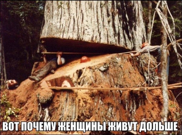 Так себе картинки Так себе картинки