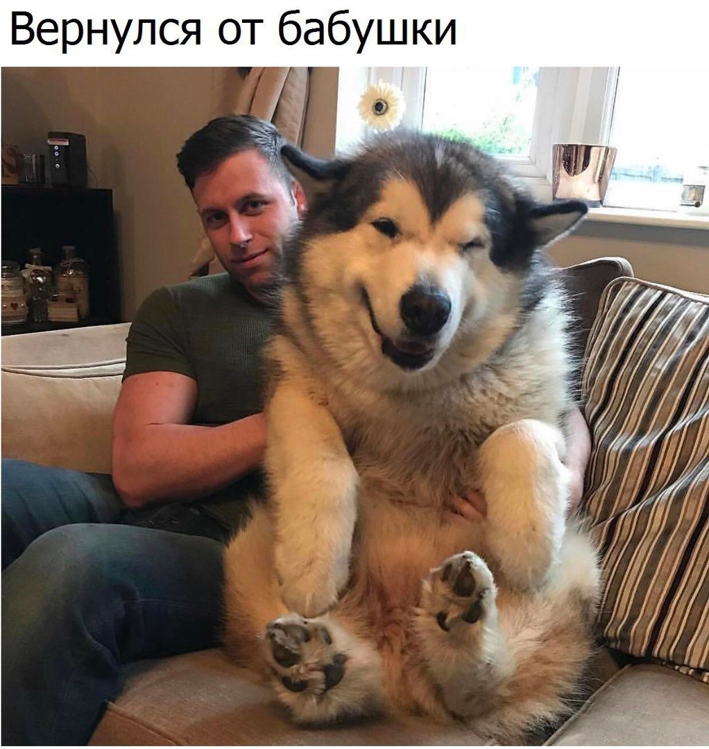 Прикольные и веселые картинки с надписями со смыслом 