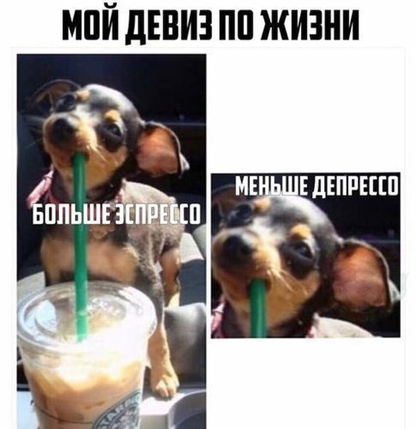 Подборка смешных картинок картинки