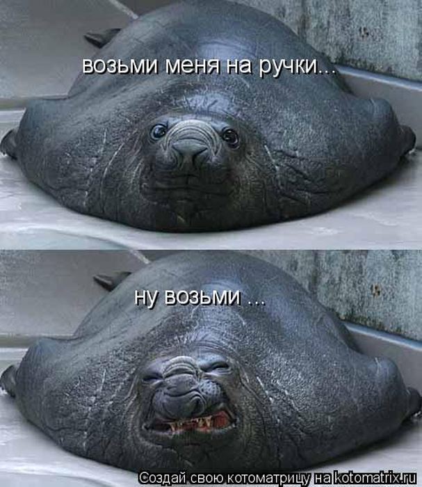 Мысли вслух :)
