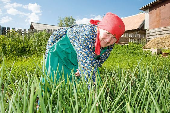 Интересные советы