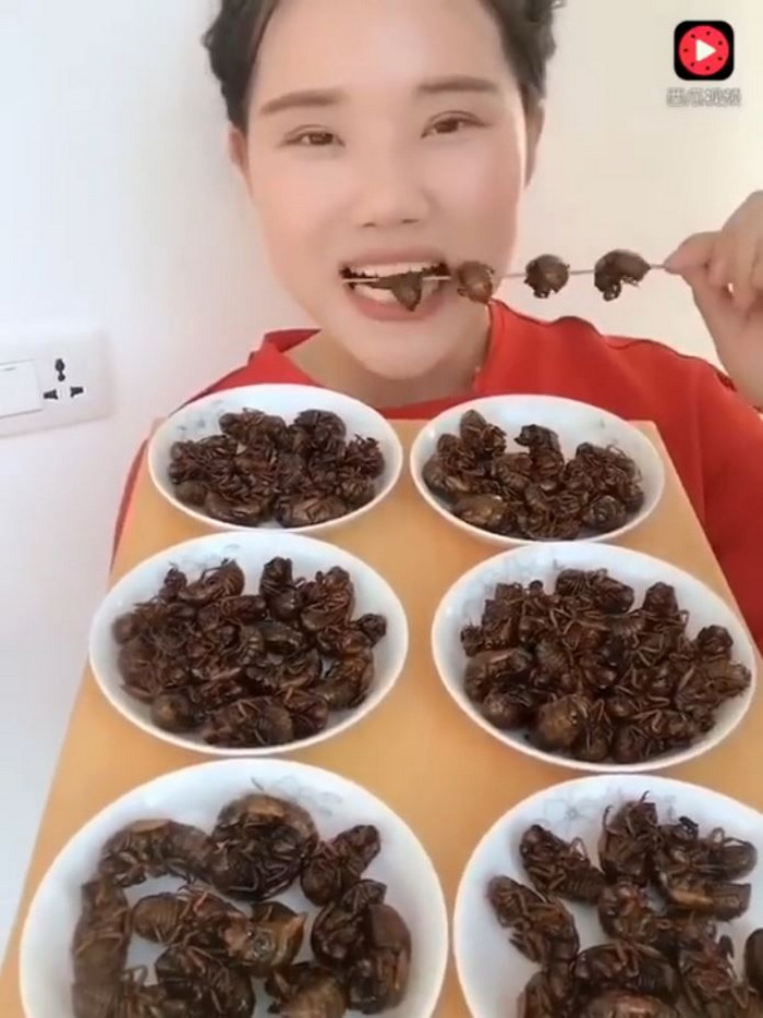 китайцы едят насекомых