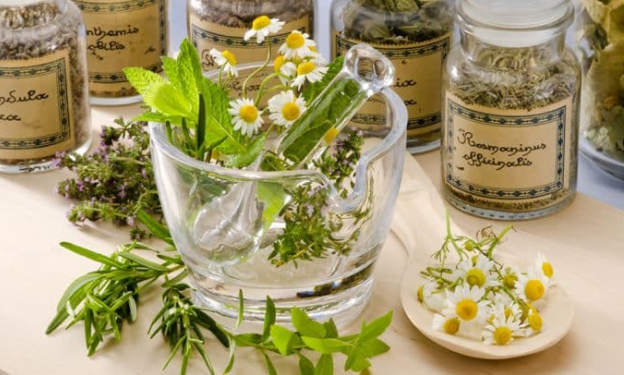 11 рецептов лечения женских болезней. В любом возрасте остаемся здоровыми и красивыми!